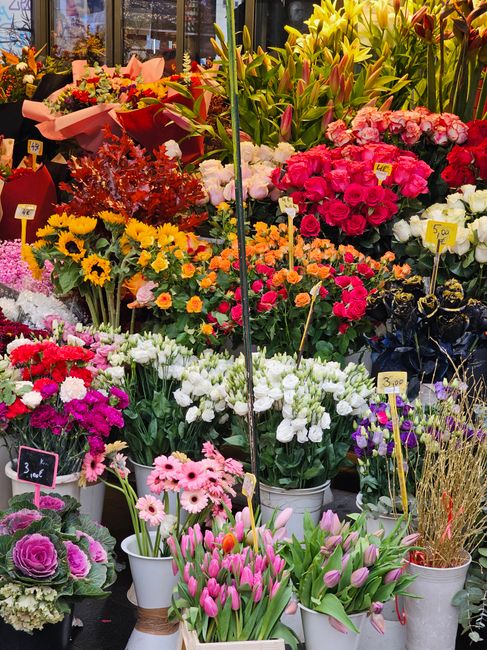 An outdoor display of fresh flowers at a florist shop, featuring a vibrant assortment including pink, red, yellow, white, and purple blooms. Prominent among them are pink tulips, white and pink daisie