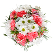 This bouquet captures the spirit of Potters Bar's blooming season, harmoniously arranged to evoke feelings of joyful renewal and gentle optimism. At the heart, pristine white daisies-each with a sunlit green center-shine amidst clouds of coral-pink carnations, whose plush, layered petals add depth and a sense of soft movement. Interspersed throughout, trim clusters of gypsophila create an ethereal, cloudlike effect, reminiscent of wildflowers seen by the New Barnet Road hedgerows. Subtle hints of alstroemeria buds with blush and lavender streaks whisper of new beginnings, tucked among the diverse greenery-a mixture of silvery eucalyptus and rich, dark leaves offering structure and restorative coolness. Every bloom and leaf in this round, balanced bouquet has been chosen with care by the seasoned hands at Flowers Potters Bar. Perfect for celebrating a birthday, congratulating a friend, or simply infusing a little radiance into your daily surroundings, the arrangement's fresh, modern palette stands out beautifully against a clean, white backdrop. It embodies the best of local floristry: vibrant, accessible, and imbued with the knowledge of Potters Bar's unique sense of home and community.