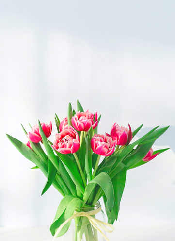 Same day Flowers Potters Bar